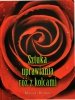 SZTUKA UPRAWIANIA RÓŻ Z KOLCAMI - Margaret Dilloway